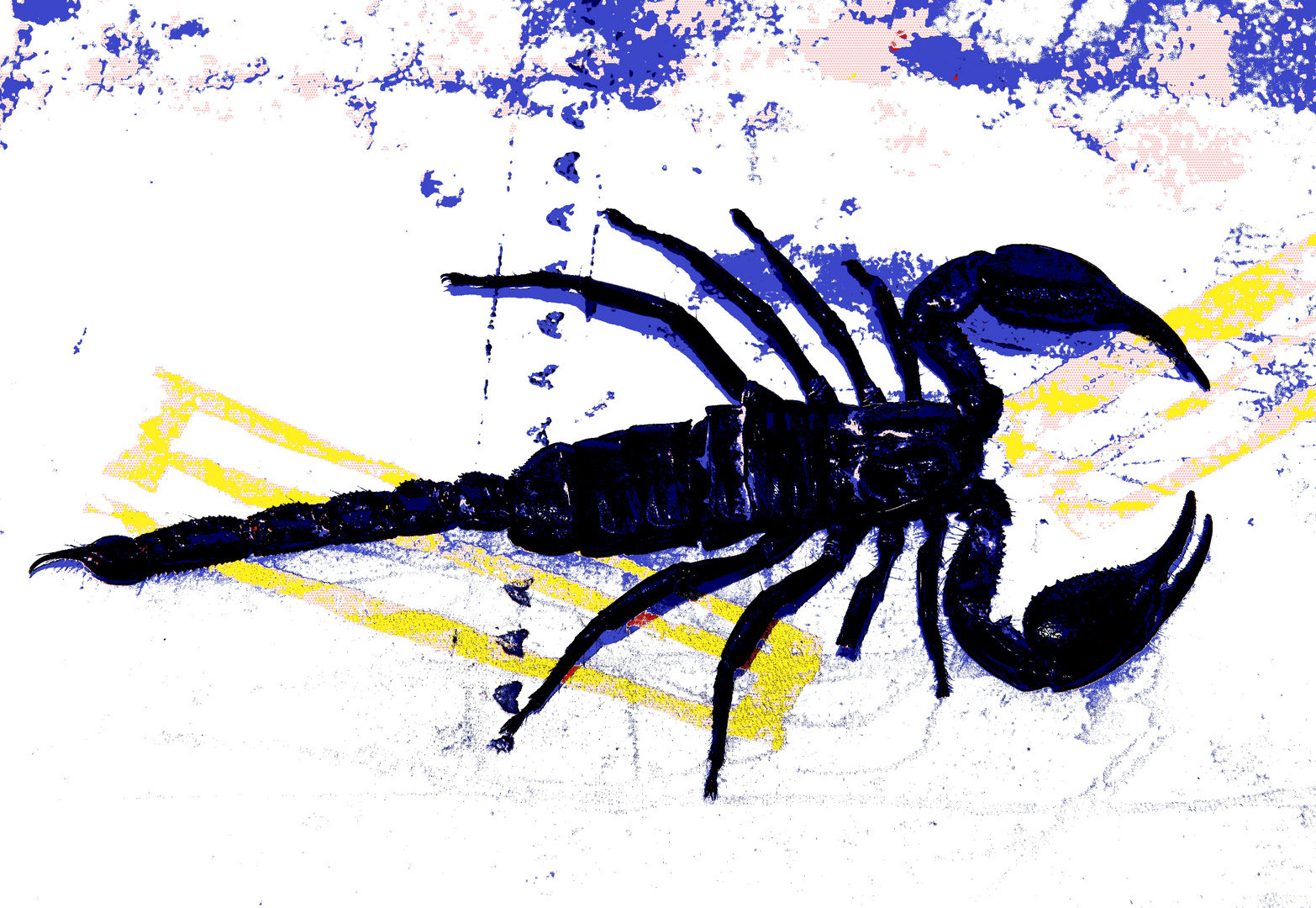 PopArt Skorpion