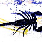 PopArt Skorpion