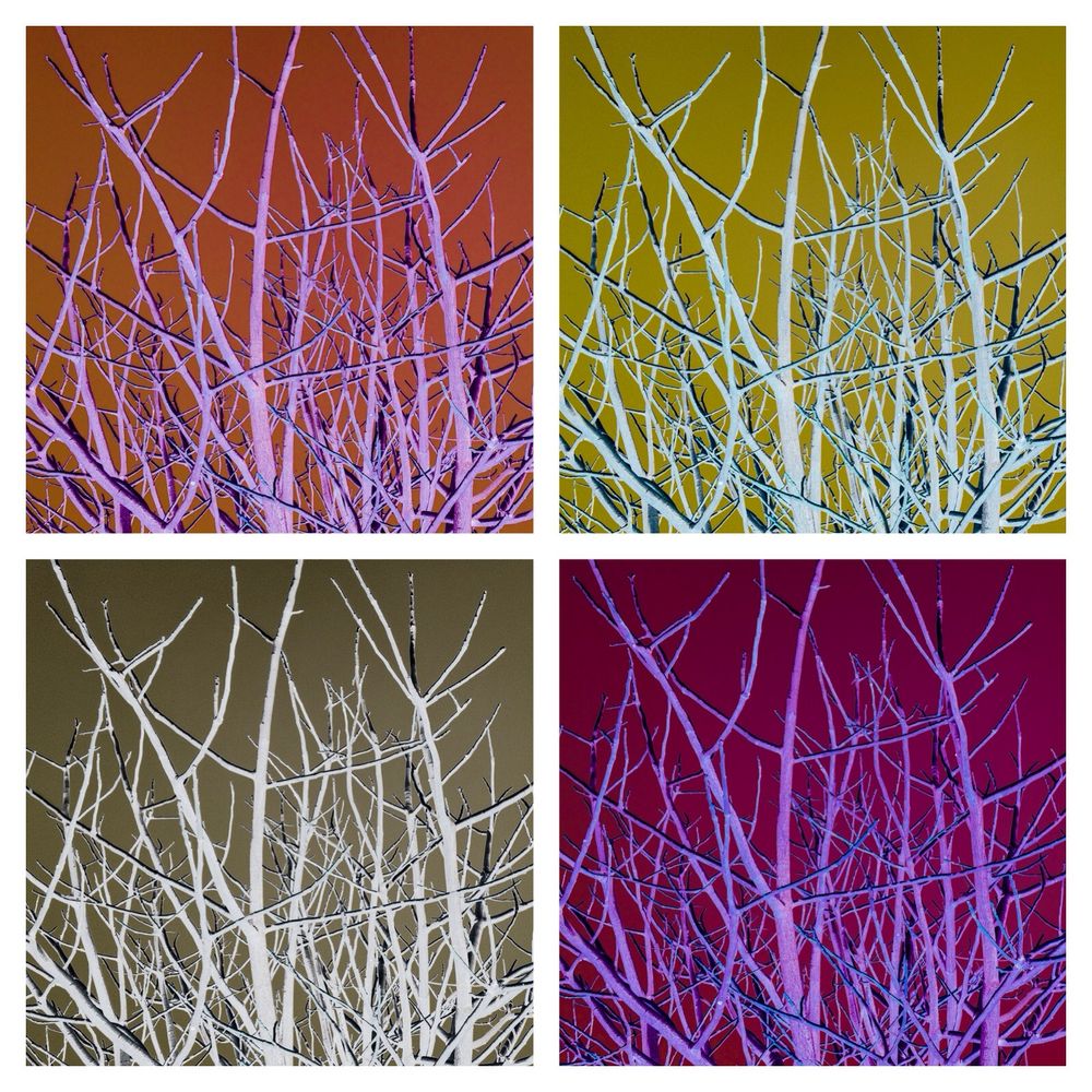 PopArt Tree