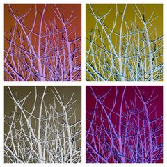 PopArt Tree