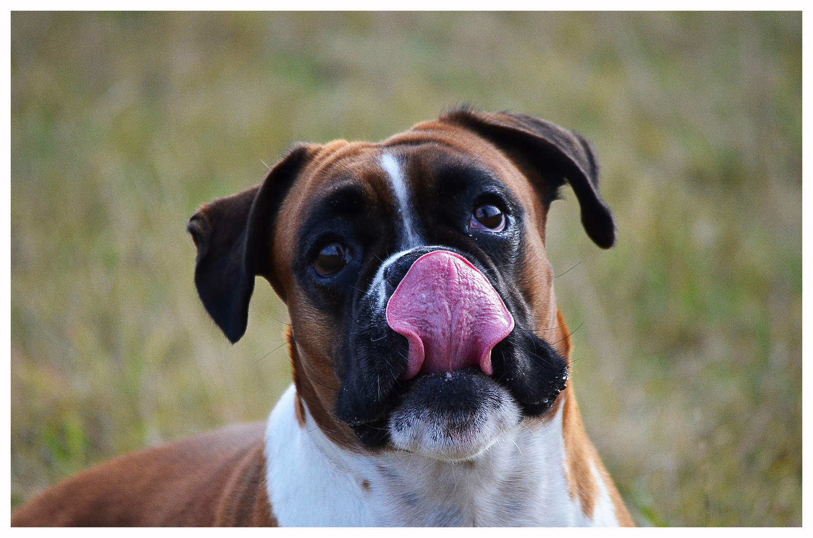 Popeln dürfen auch Hunde