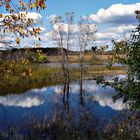 Poplar Creek Marshes