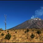 Popocatépetl