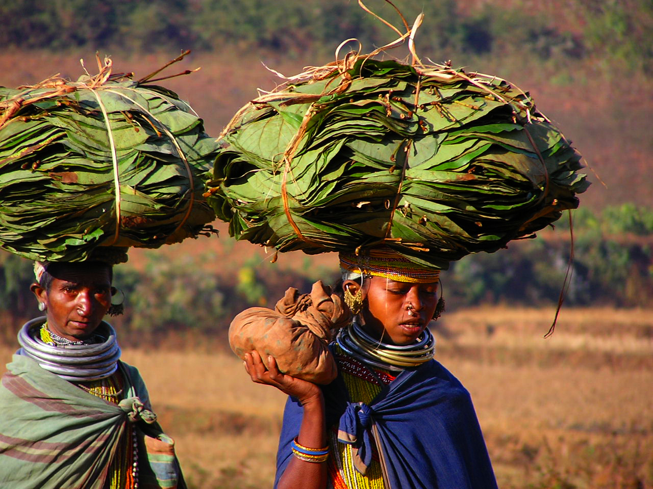 Popoli Tribali Orissa