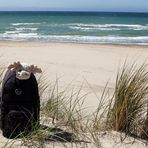 Poppel am Strand