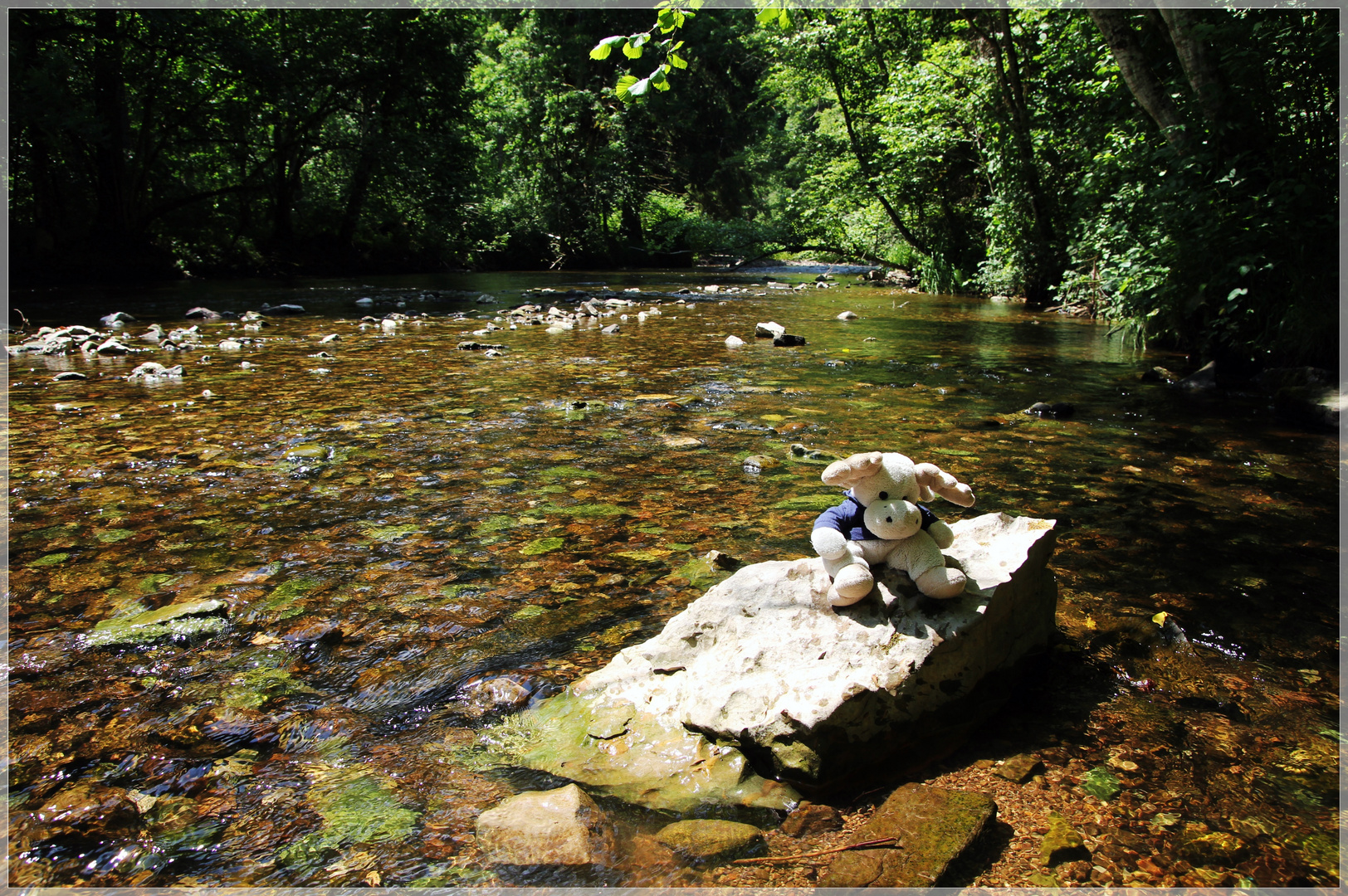 Poppel an der Wutach