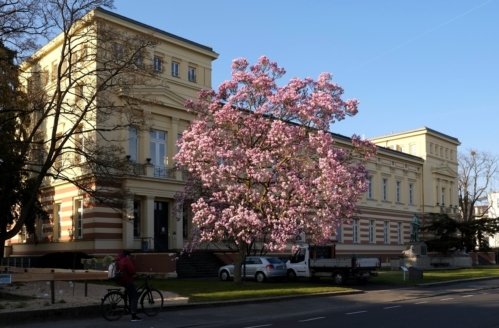 Poppelsdorf im März