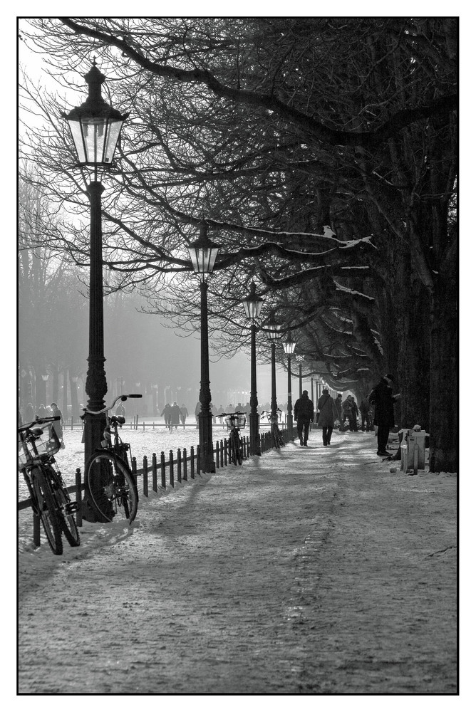 Poppelsdorfer Allee im Schnee