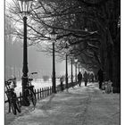 Poppelsdorfer Allee im Schnee