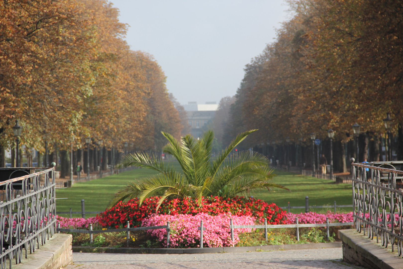 Poppelsdorfer Allee in Bonn