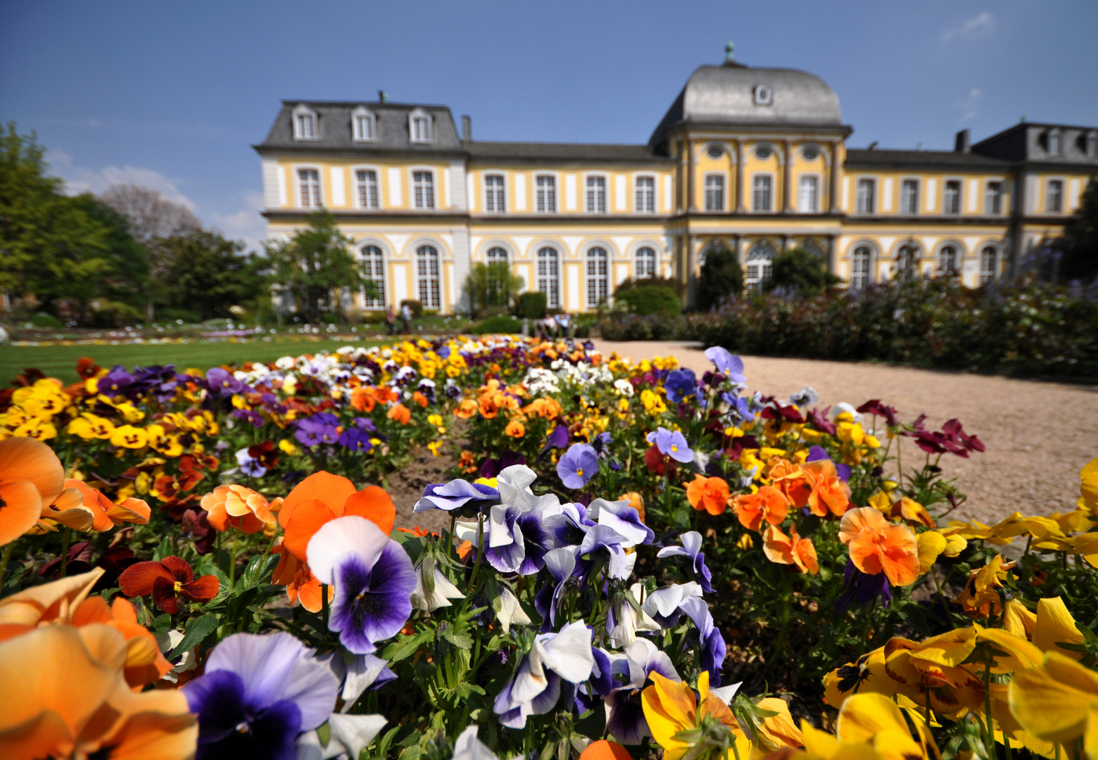 Poppelsdorfer Schloss