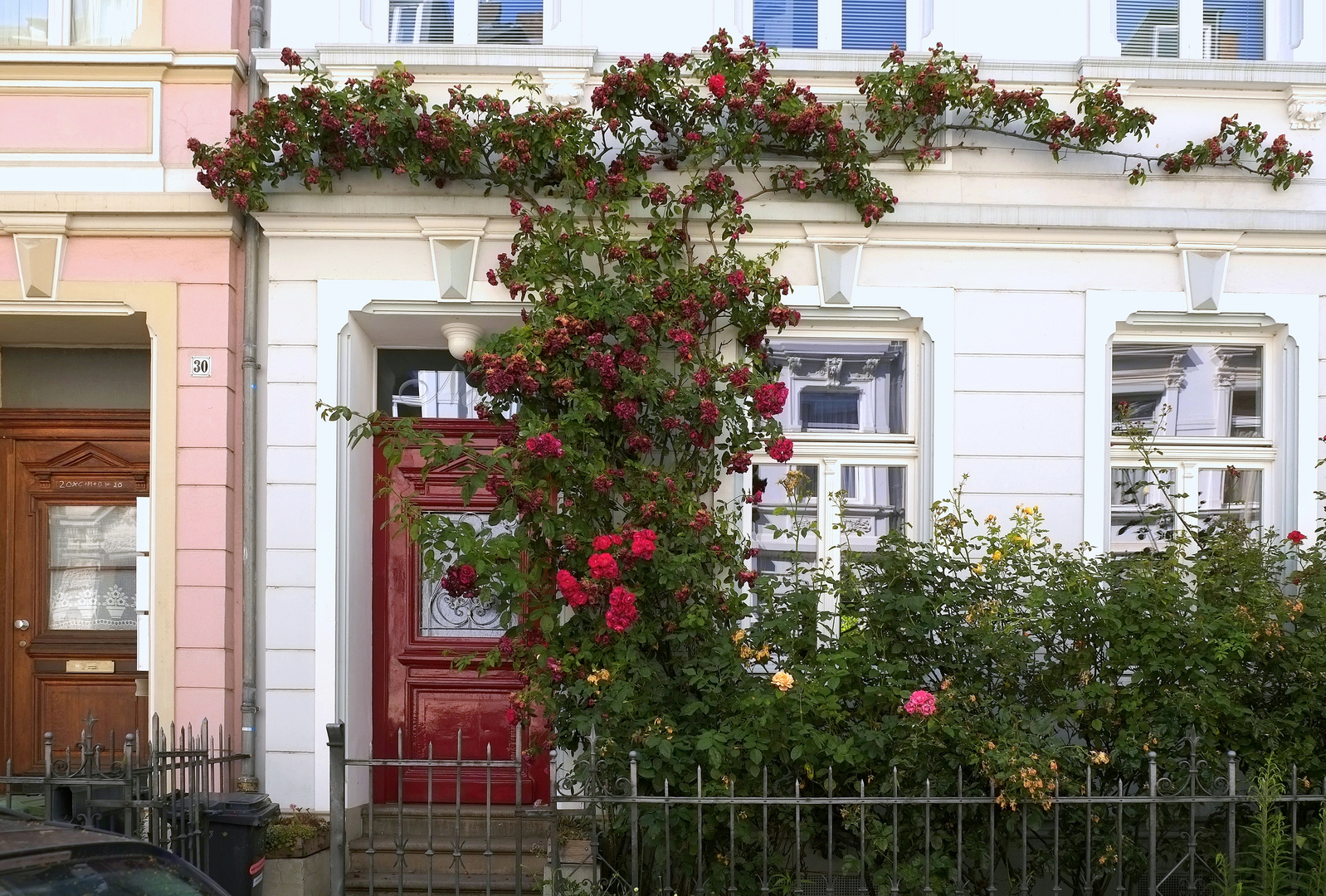 Poppelsdorfer Streifzüge  -6-