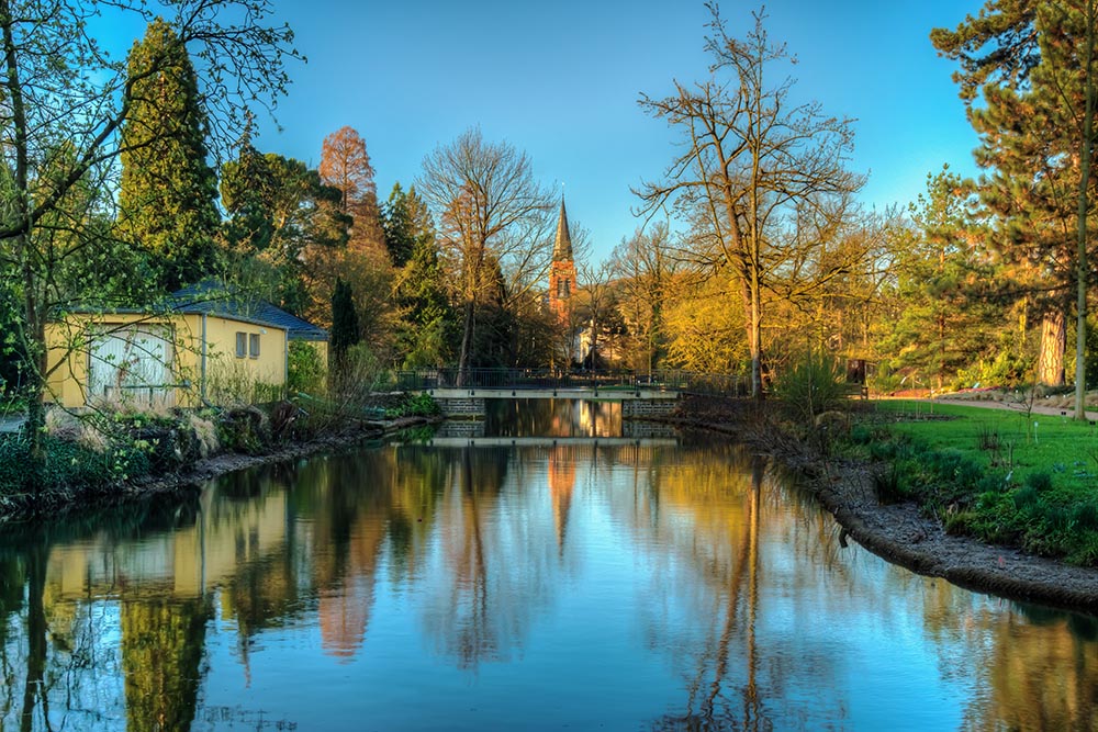 Poppelsdorfer Weiher bei Sonnenaufgang