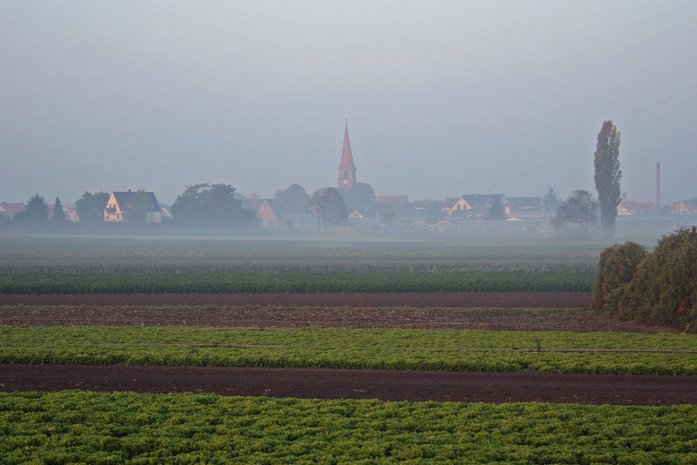 Poppenreuth