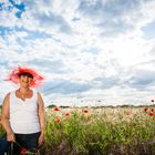 Poppies