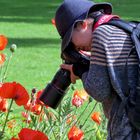 Poppies Through the Big Lens