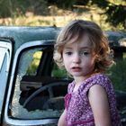 Poppy and Derelict Car