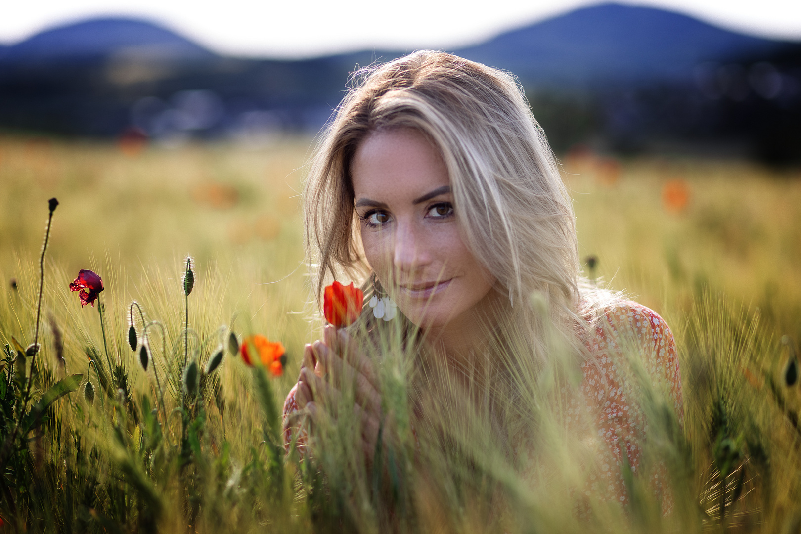 Poppy Field