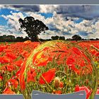 Poppy field with glass ball (Mohnfeld mit Glaskugel)