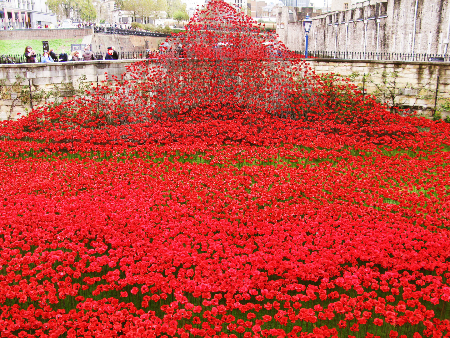 "Poppy-Wasserfall"