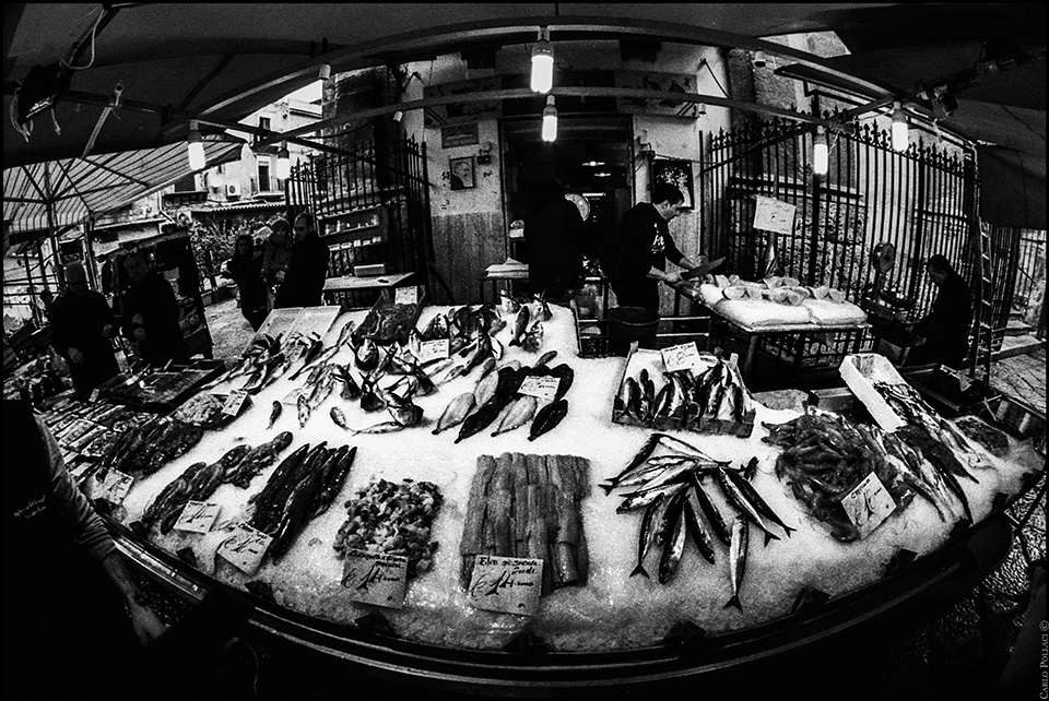 Popular market, fish for sale