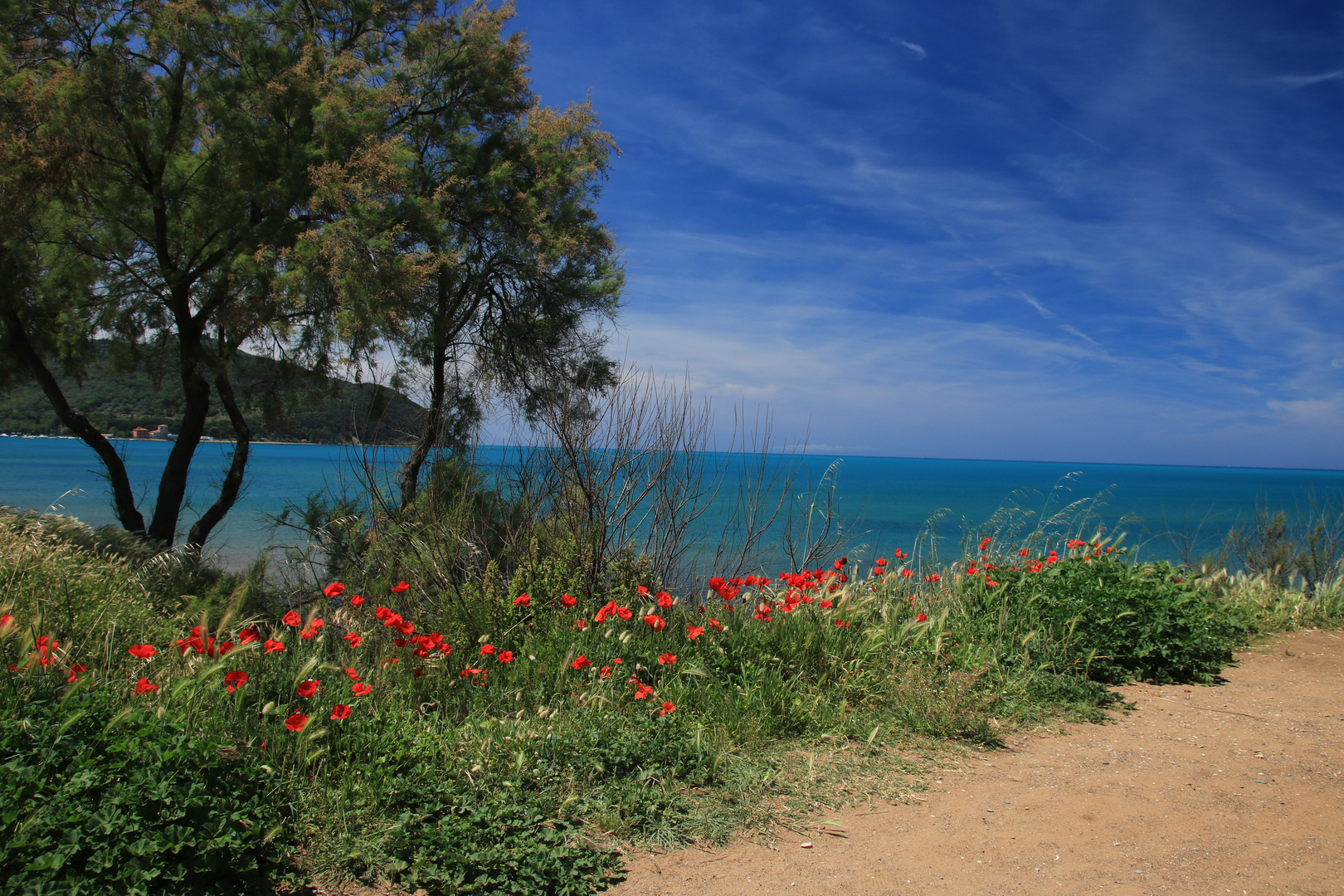 Populonia