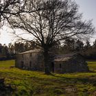 POR EL CAMINO DE SANTIAGO