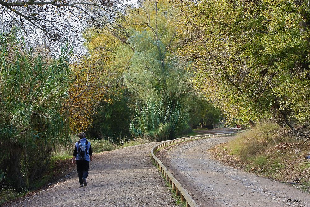 Por el camino verde, paseando