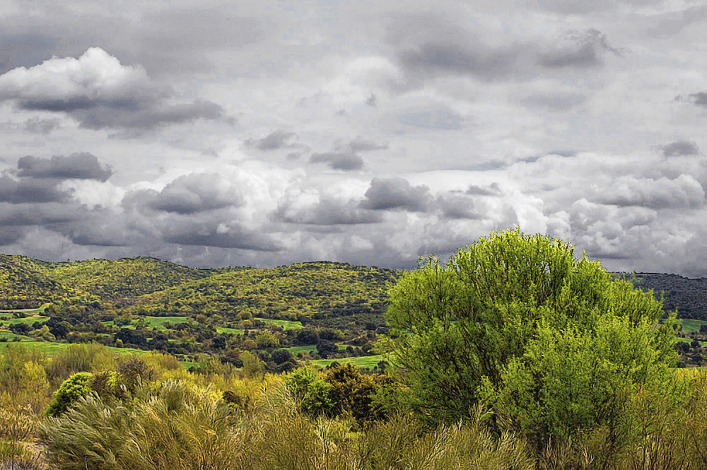 Por el campo