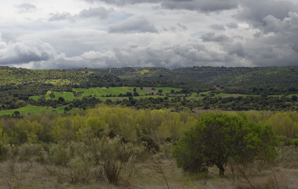 Por el campo