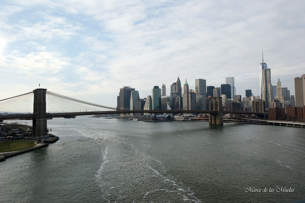 ...por el puente de Brooklyn 8...