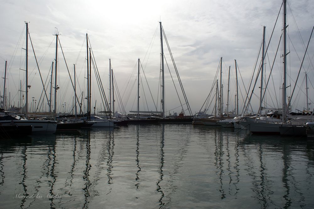 ...por el puerto de Palma de Mallorca...