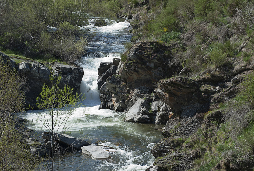 Por el río Curueño. ( IV )