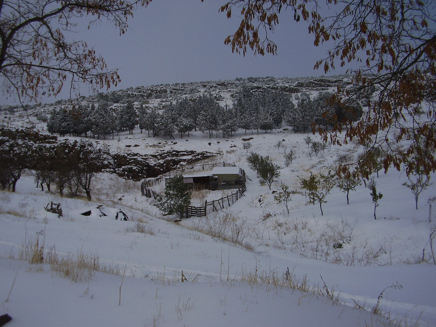 POR FIN LAS PRIMERAS NEVADAS