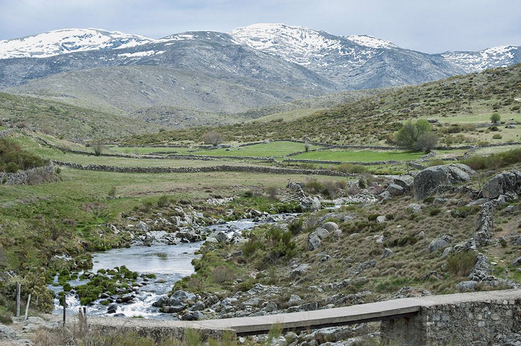 Por Gredos