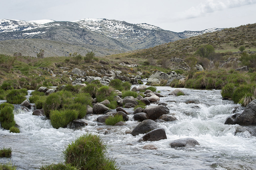 Por Gredos - Barbellido