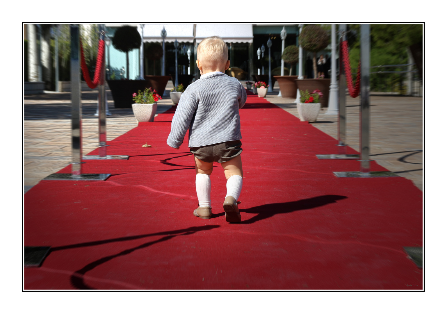 Por la alfombra roja