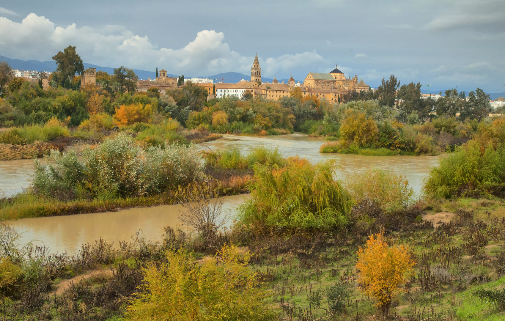 POR LA CAPITALIDAD CULTURAL DE CÓRDOBA 2016 (Dedicada a Eduardo Castillo)