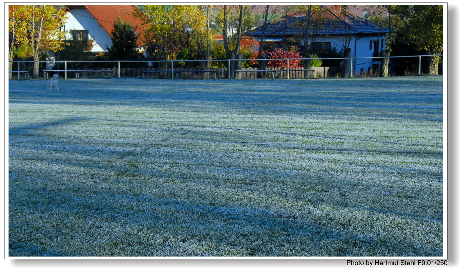 Por la mañana (Am Morgen)