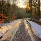 por la tarde en el bosque II (abends im Wald II)