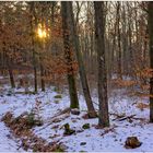 por la tarde en el bosque III (abends im Wald III)