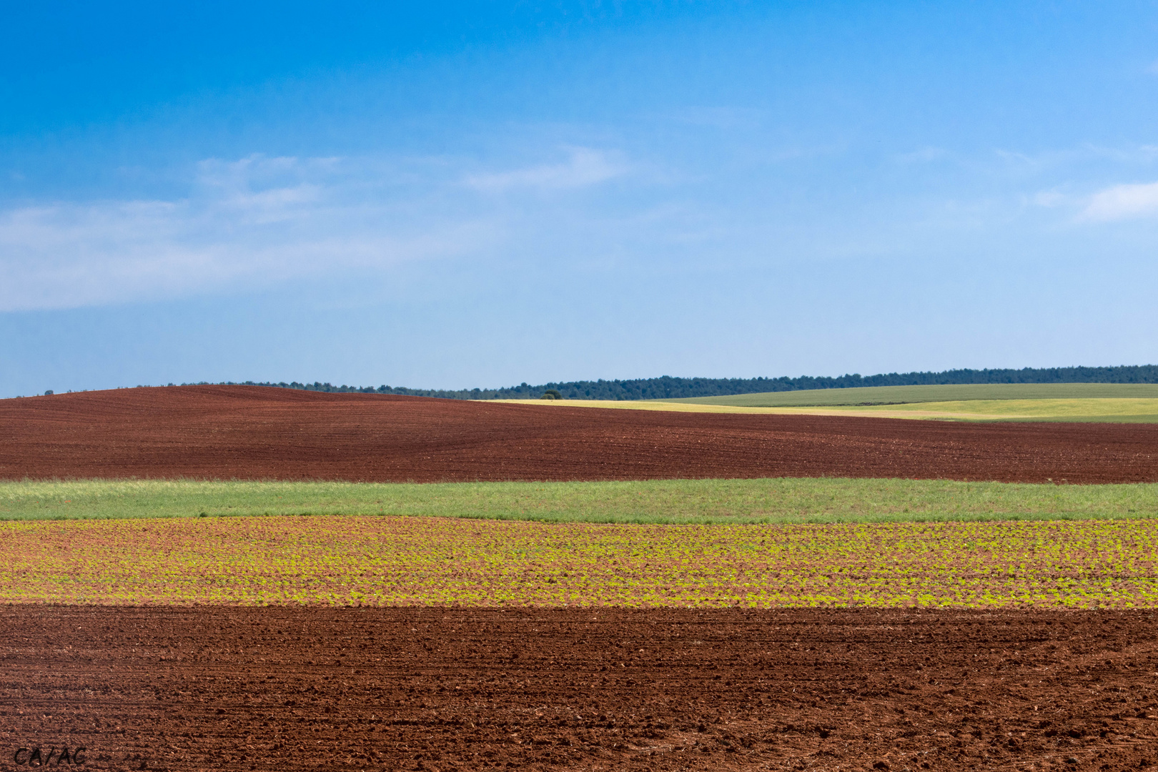 Por tierras Castellanas