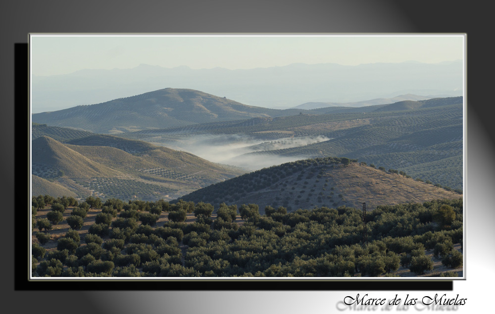 Por tierras de Jaen...3