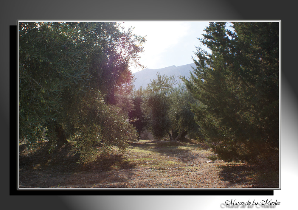 Por tierras de Jaen...4