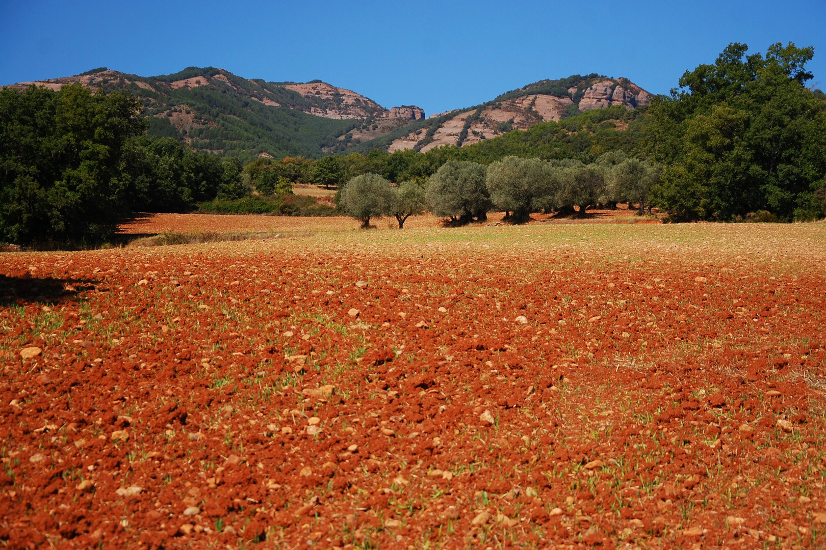 POR TIERRAS DEL PALLARS JUSSÀ