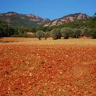 POR TIERRAS DEL PALLARS JUSSÀ