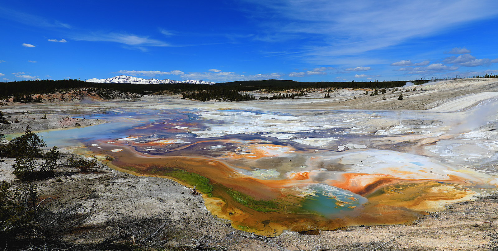 Porcelain Basin-Norris Geyser Basin-Yellowstone NP