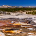 Porcelain Springs, Yellowstone NP, Wyoming, USA