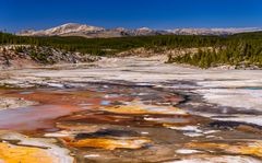 Porcelain Springs, Yellowstone NP, Wyoming, USA