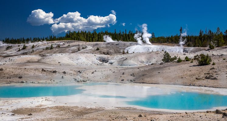 Porcellain Basin / Yellowstone